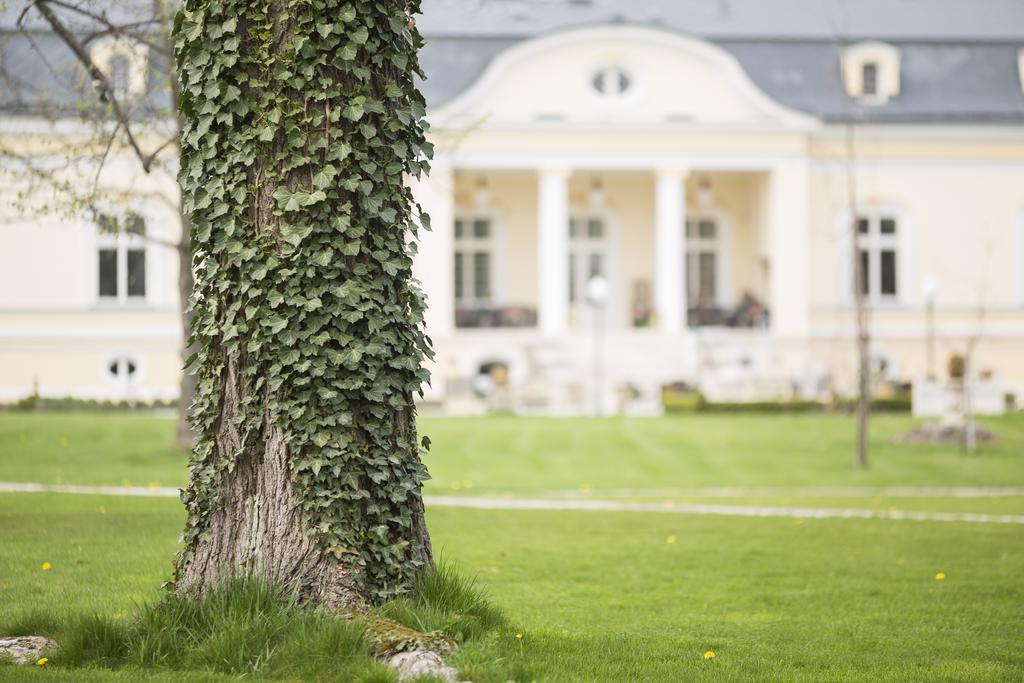 Amade Chateau Vrakúň Екстериор снимка